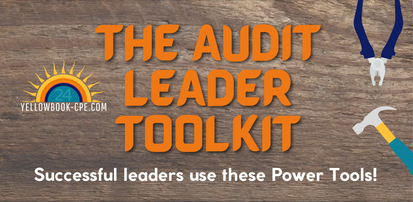 The Audit Leader Toolkit Yellowbook Cpe