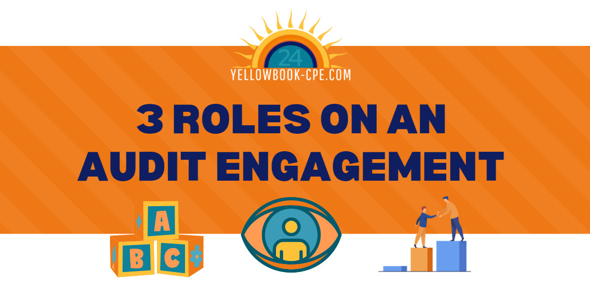 3 Roles On An Audit Engagement Yellowbook CPE