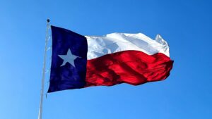 Texas state flag - the County Auditors in Texas are not Auditors