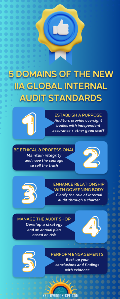 Infographic - 5 Domains IIA Standards