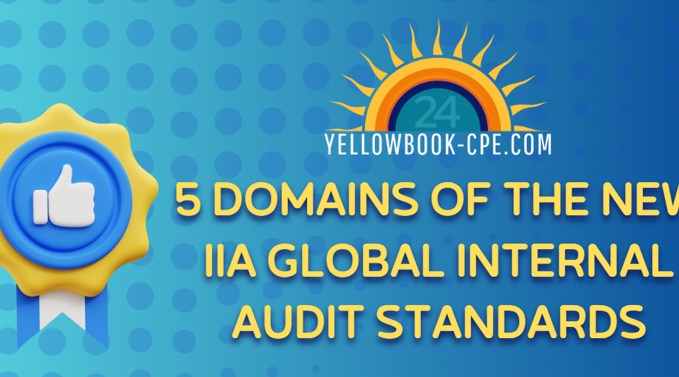 Blog Header - 5 Domains IIA Standards