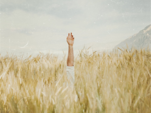 Arm raised in a field