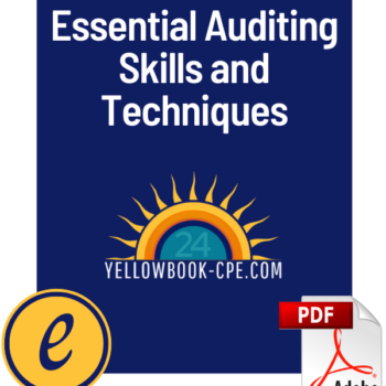 Essential Auditing Skills and Techniques
