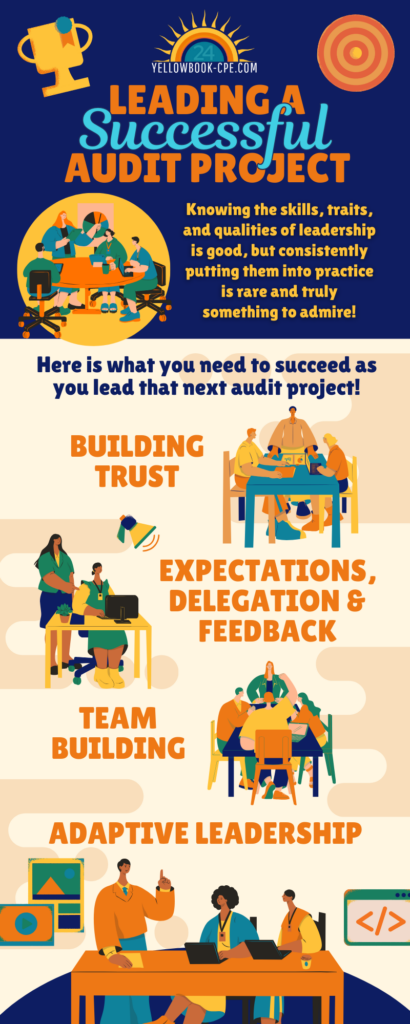 Leading a Successful Audit Project Infographic