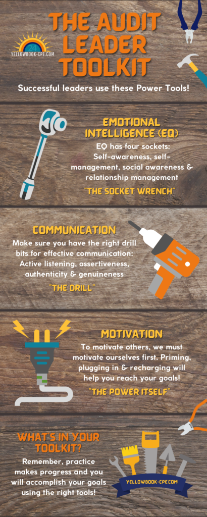 The Audit Leader Toolkit Infographic