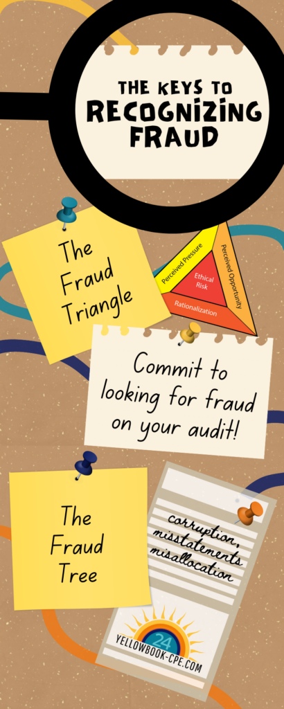 Recognizing Fraud Infographic
