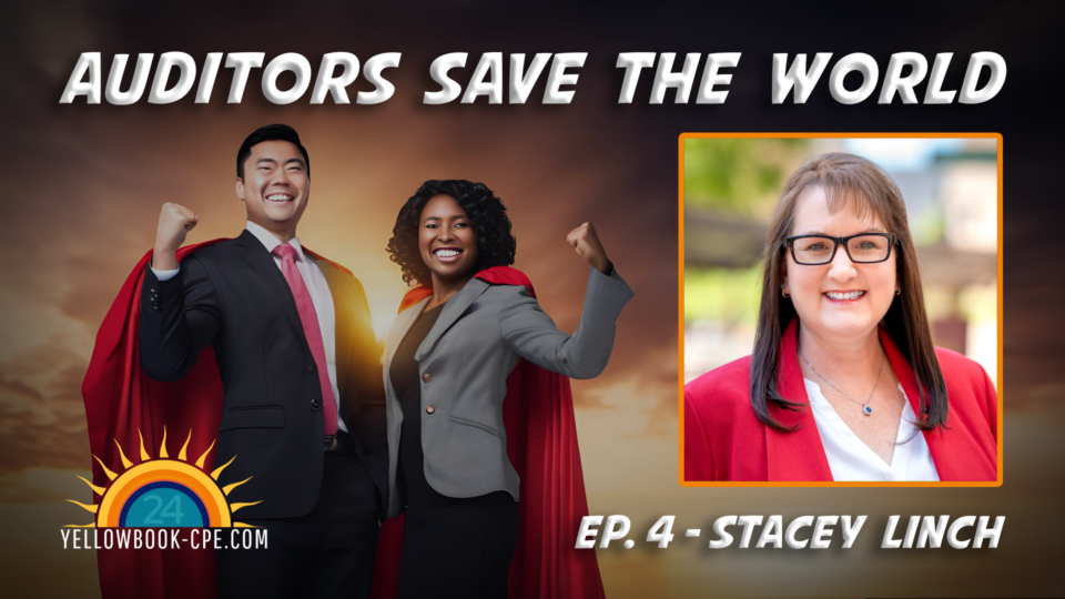 Stacey Linch Ep 004 Auditors Save the World podcast