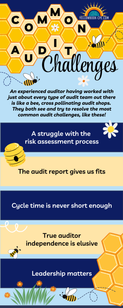 Common Audit Challenges