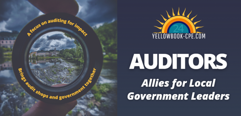 Auditors are Allies blog header