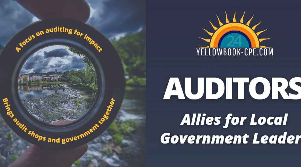 Auditors are Allies blog header