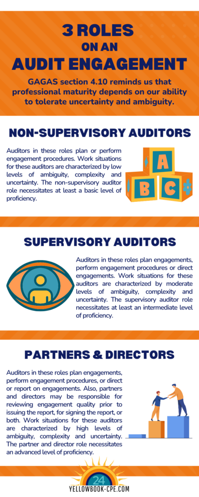 3 roles on an audit infographic