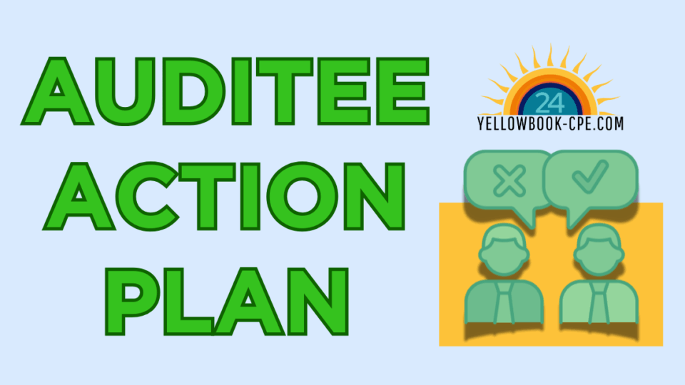 Blog Header-Auditee Action Plan