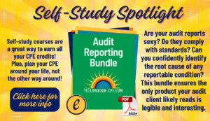 Audit Reporting Bundle SS Spotlight