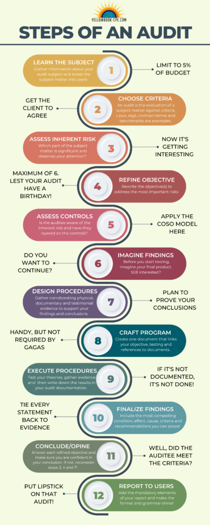 12 Steps of an Audit Infographic