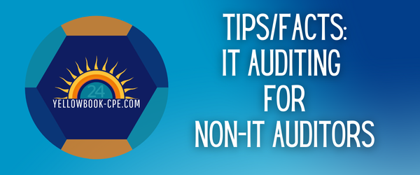 Tips & Facts: IT Auditing for Non-IT Auditors