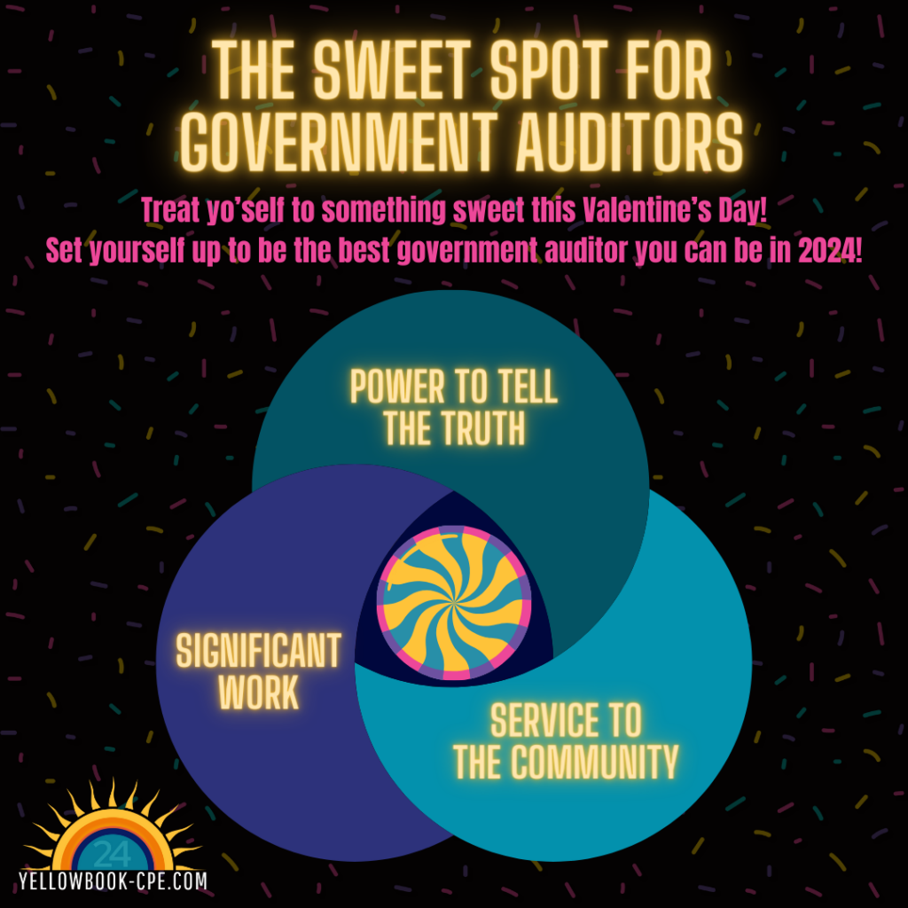 The Sweet Spot for Government Auditors Infographic